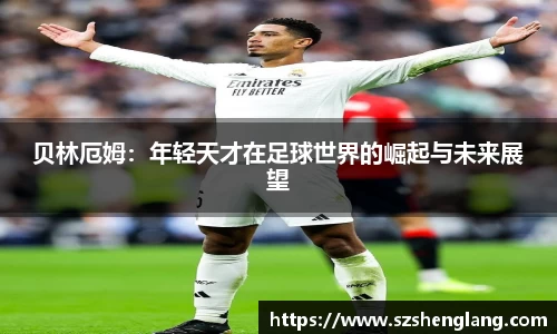 BSports网页版